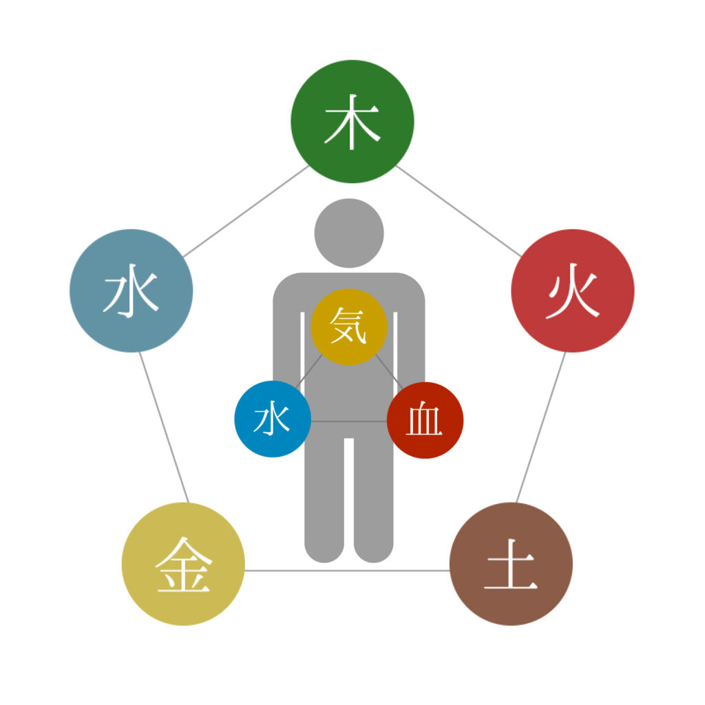 氣血水の流れ　五行設　イメージ