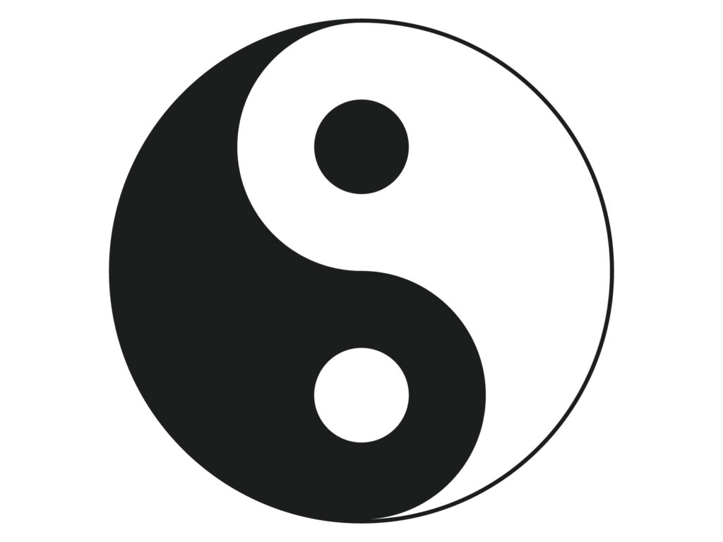 太極球　陰陽論イメージ