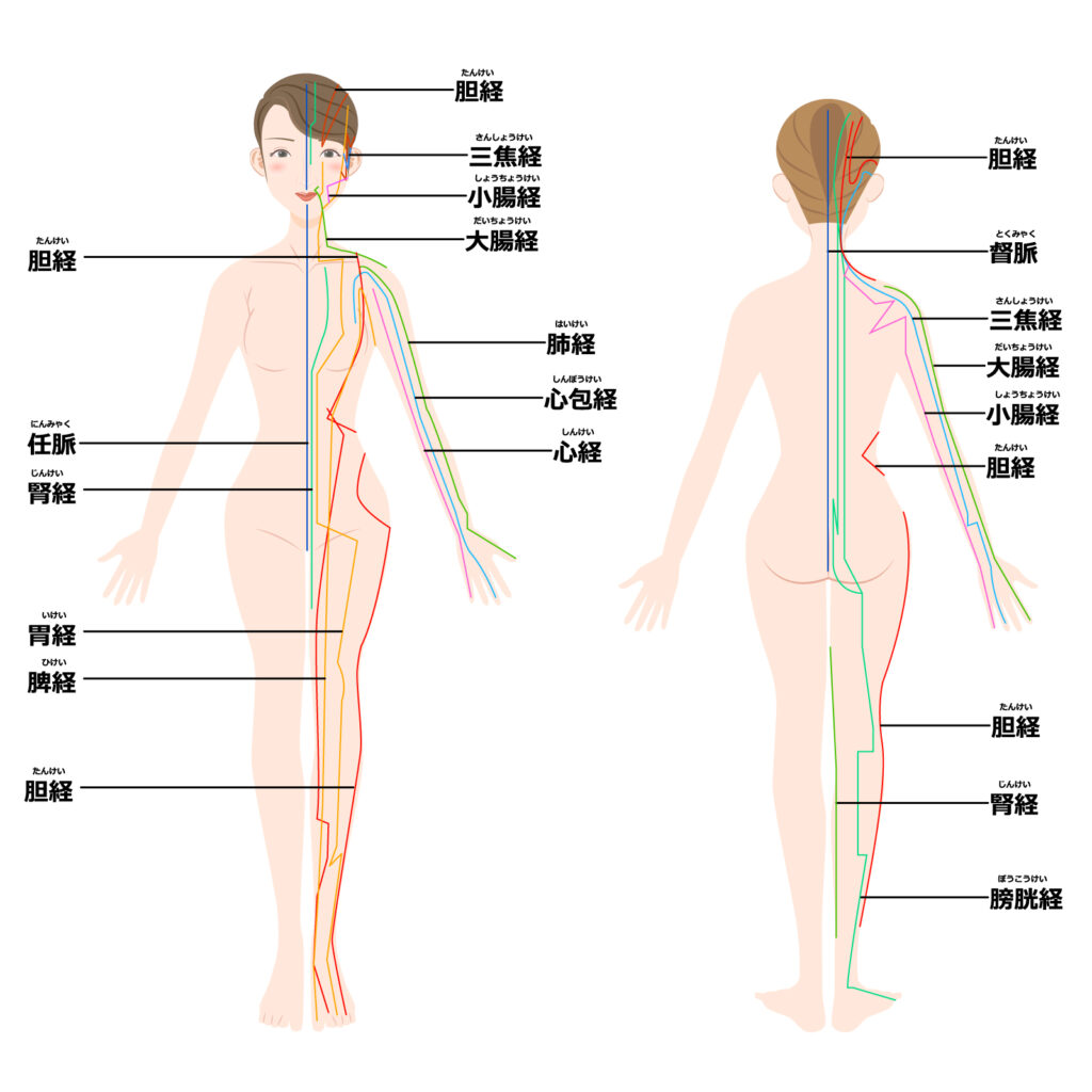 全身経絡　イメージ