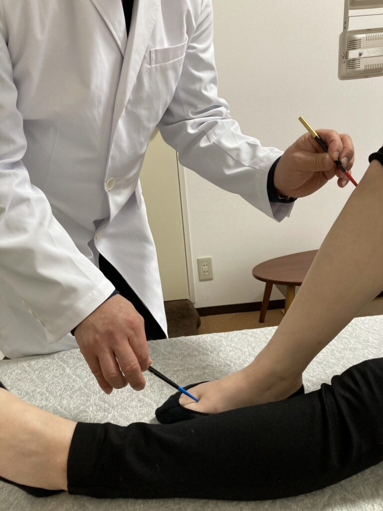 東洋医学の根本概念